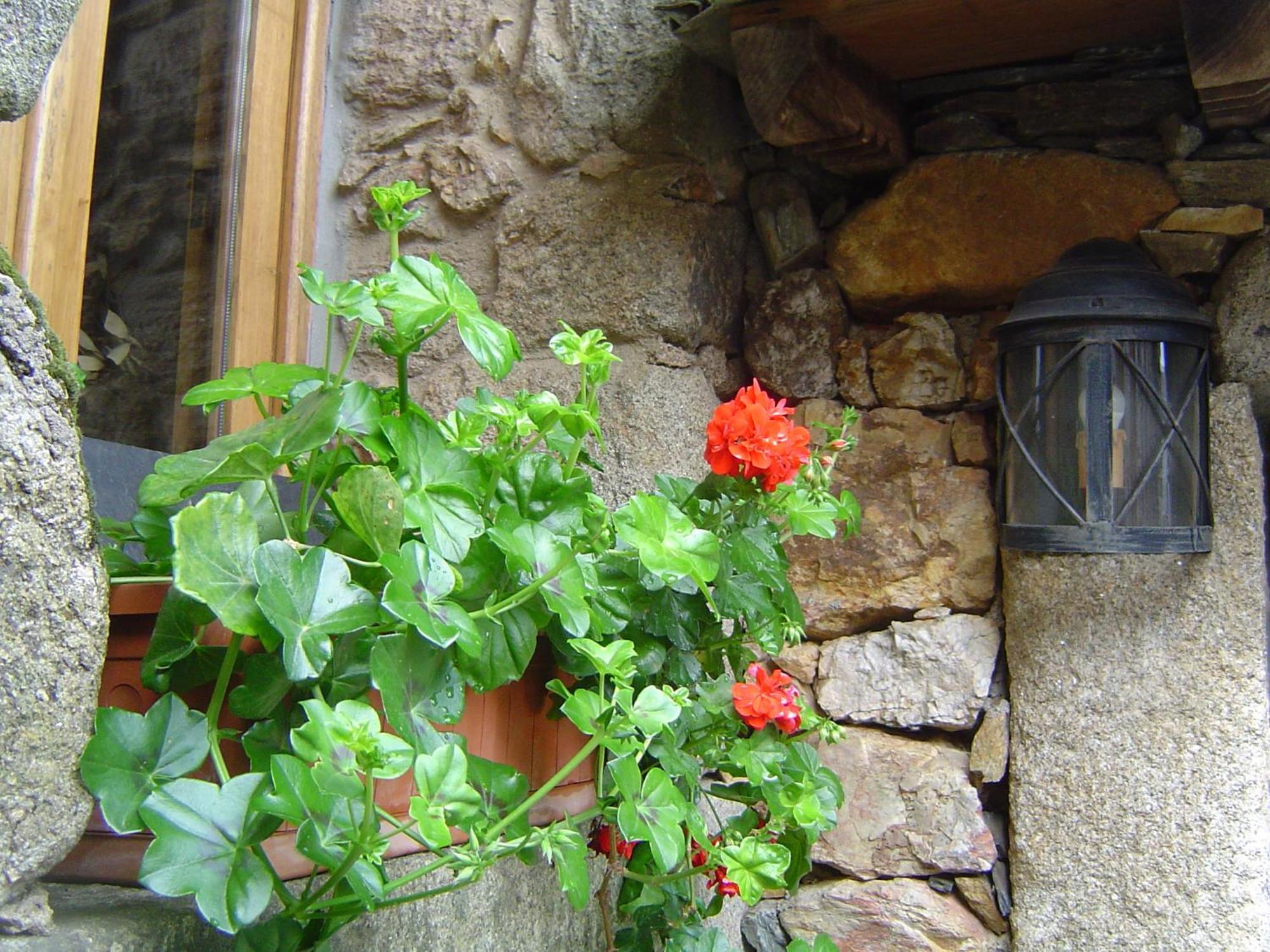 Casa Do Pinto Guest House Arouca Bagian luar foto